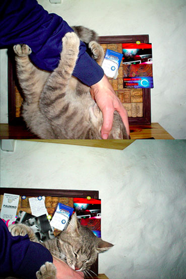 pgs-rip-fotolog_13